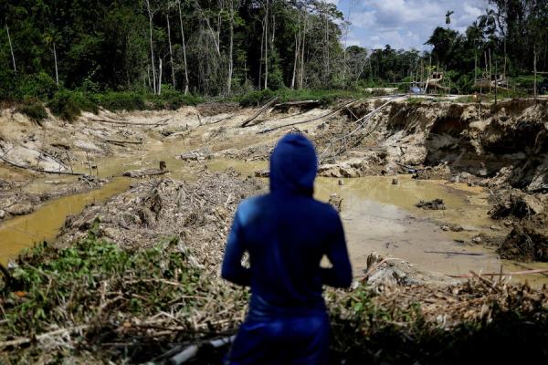 巴西矿工陷入了森林砍伐战争的交火中